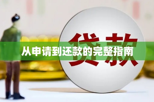 官渡从申请到还款的完整指南