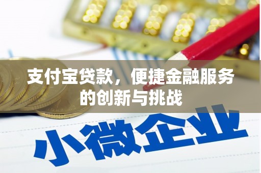 官渡支付宝贷款，便捷金融服务的创新与挑战
