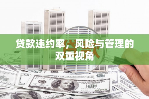 官渡贷款违约率，风险与管理的双重视角