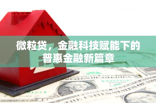 官渡微粒贷，金融科技赋能下的普惠金融新篇章