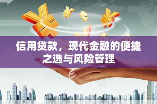 官渡信用贷款，现代金融的便捷之选与风险管理