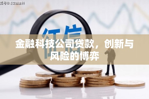 官渡金融科技公司贷款，创新与风险的博弈