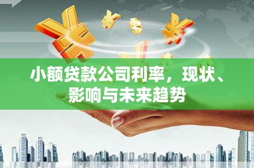 官渡小额贷款公司利率，现状、影响与未来趋势