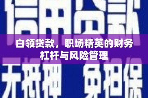 官渡白领贷款，职场精英的财务杠杆与风险管理