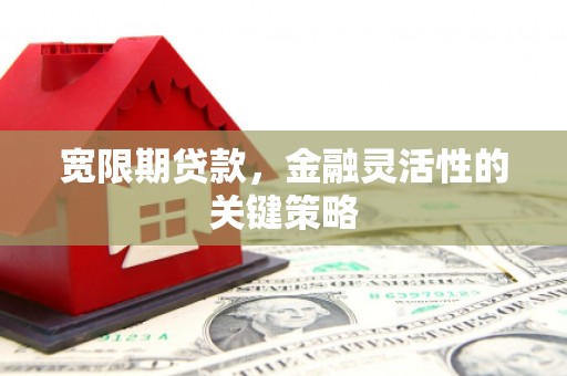 官渡宽限期贷款，金融灵活性的关键策略