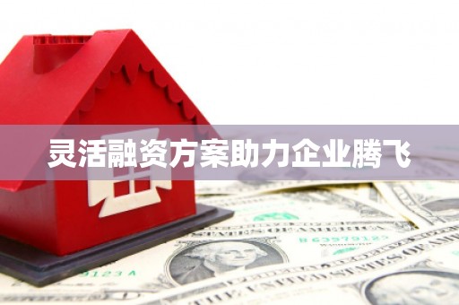 官渡灵活融资方案助力企业腾飞