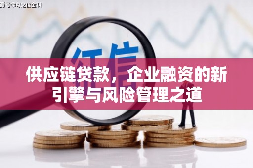 官渡供应链贷款，企业融资的新引擎与风险管理之道