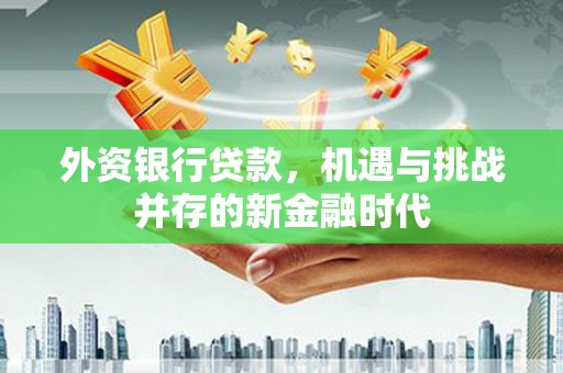 官渡外资银行贷款，机遇与挑战并存的新金融时代