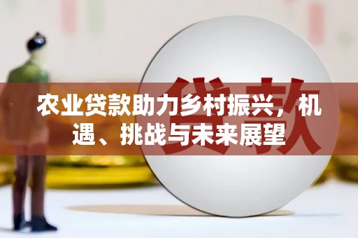 官渡农业贷款助力乡村振兴，机遇、挑战与未来展望