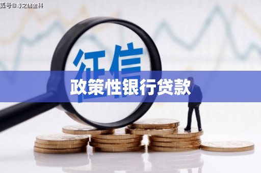 官渡政策性银行贷款