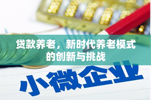 官渡贷款养老，新时代养老模式的创新与挑战