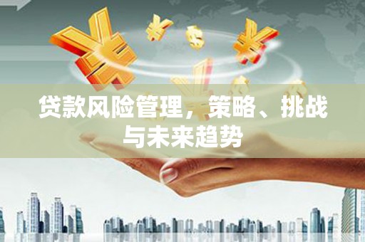 官渡贷款风险管理，策略、挑战与未来趋势