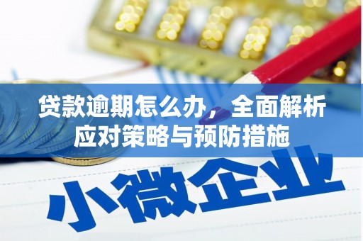官渡贷款逾期怎么办，全面解析应对策略与预防措施
