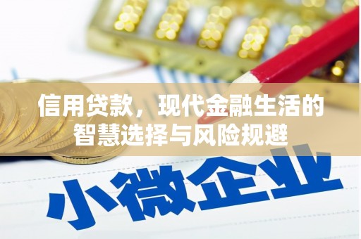 官渡信用贷款，现代金融生活的智慧选择与风险规避