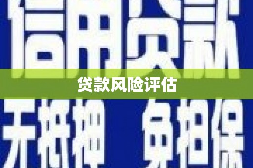 官渡贷款风险评估