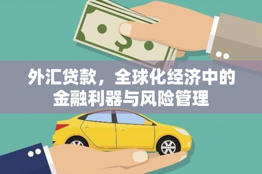 官渡外汇贷款，全球化经济中的金融利器与风险管理