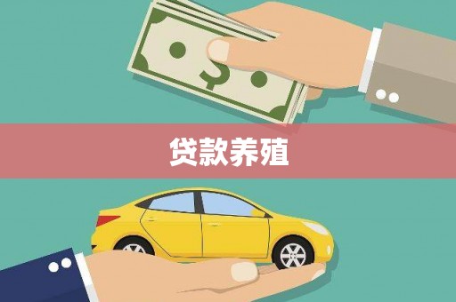 官渡贷款养殖
