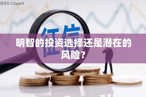 官渡明智的投资选择还是潜在的风险？