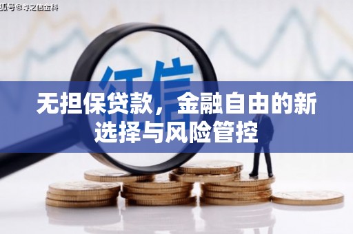 官渡无担保贷款，金融自由的新选择与风险管控