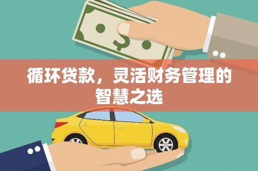 官渡循环贷款，灵活财务管理的智慧之选