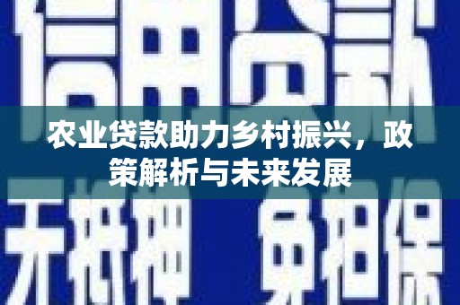 官渡农业贷款助力乡村振兴，政策解析与未来发展