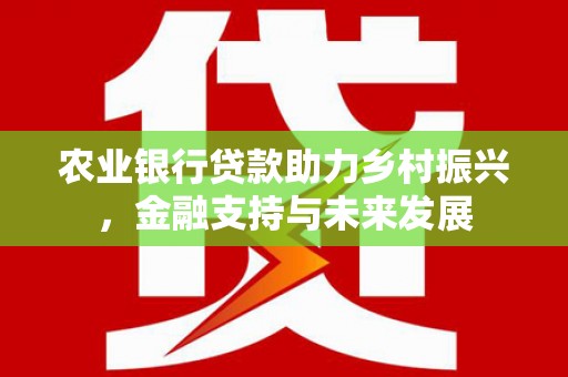 官渡农业银行贷款助力乡村振兴，金融支持与未来发展
