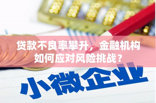 官渡贷款不良率攀升，金融机构如何应对风险挑战？