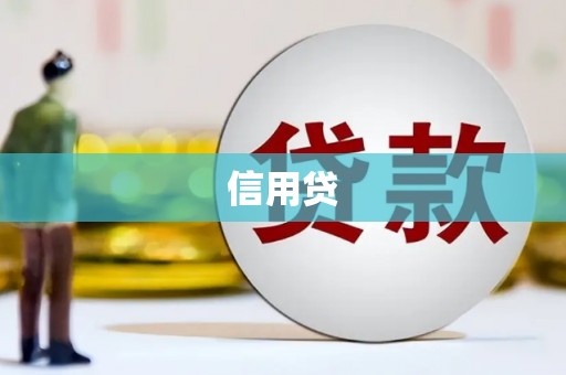 官渡信用贷