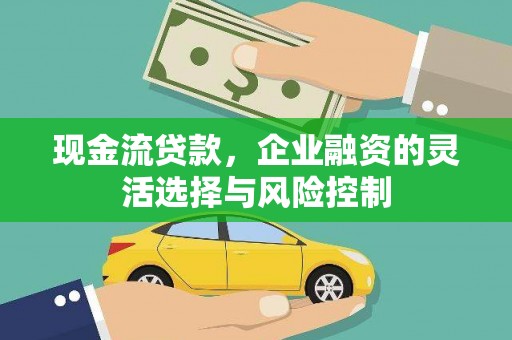 官渡现金流贷款，企业融资的灵活选择与风险控制