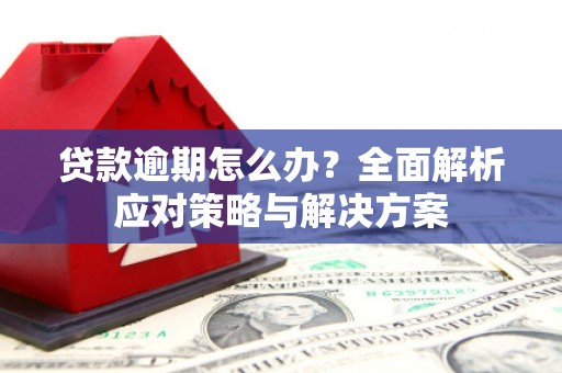 官渡贷款逾期怎么办？全面解析应对策略与解决方案