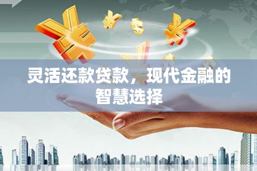 官渡灵活还款贷款，现代金融的智慧选择