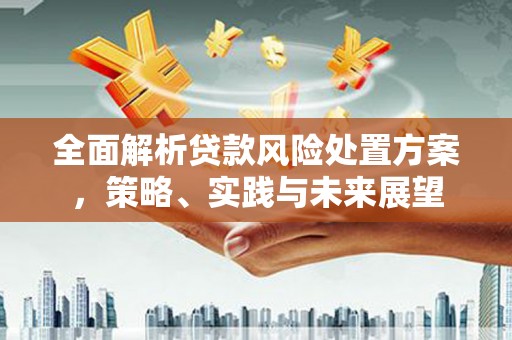 官渡全面解析贷款风险处置方案，策略、实践与未来展望