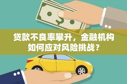 官渡贷款不良率攀升，金融机构如何应对风险挑战？