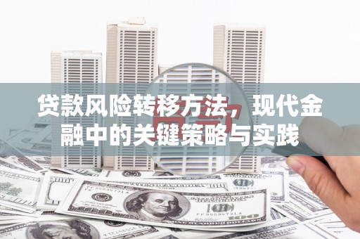 官渡贷款风险转移方法，现代金融中的关键策略与实践