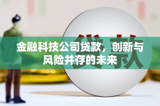 官渡金融科技公司贷款，创新与风险并存的未来