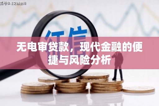 官渡无电审贷款，现代金融的便捷与风险分析