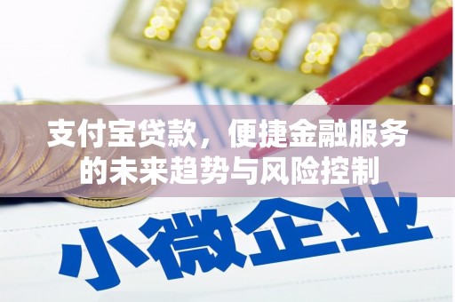 官渡支付宝贷款，便捷金融服务的未来趋势与风险控制