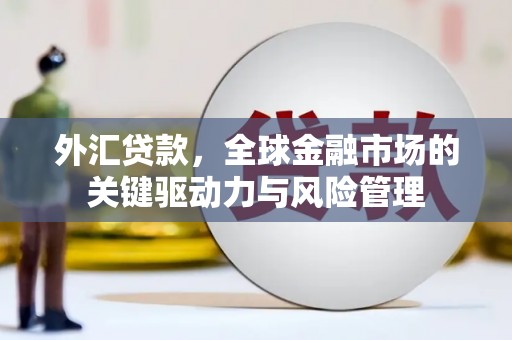 官渡外汇贷款，全球金融市场的关键驱动力与风险管理