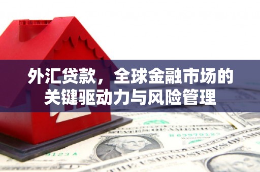 官渡外汇贷款，全球金融市场的关键驱动力与风险管理