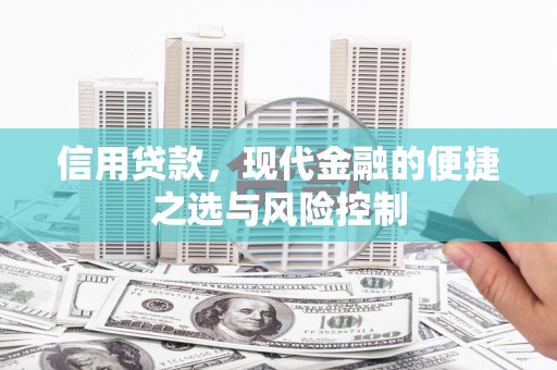 官渡信用贷款，现代金融的便捷之选与风险控制