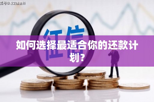 官渡如何选择最适合你的还款计划？