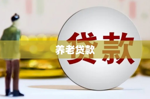官渡养老贷款
