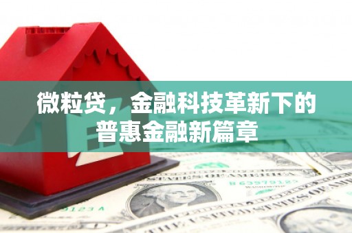 官渡微粒贷，金融科技革新下的普惠金融新篇章