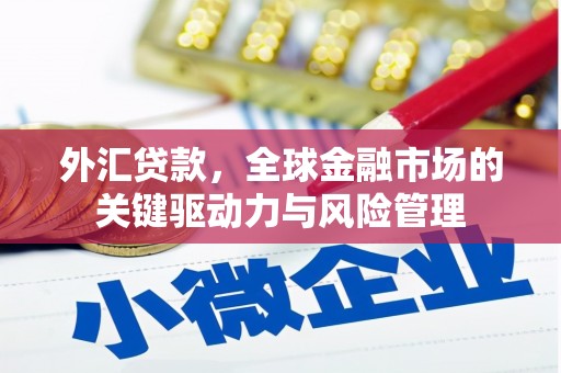 官渡外汇贷款，全球金融市场的关键驱动力与风险管理