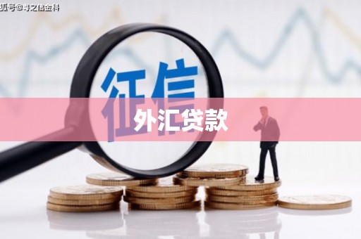 官渡外汇贷款