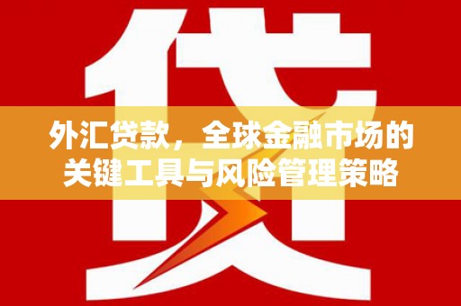 官渡外汇贷款，全球金融市场的关键工具与风险管理策略