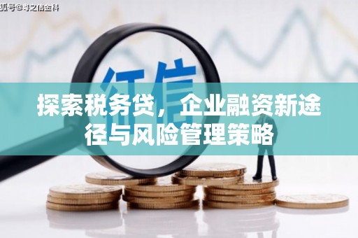 官渡探索税务贷，企业融资新途径与风险管理策略