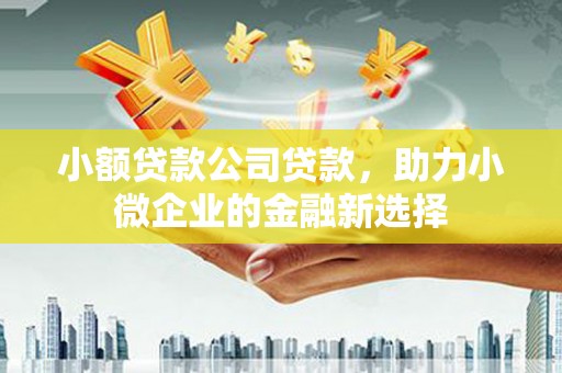 官渡小额贷款公司贷款，助力小微企业的金融新选择
