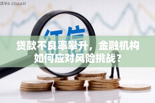 官渡贷款不良率攀升，金融机构如何应对风险挑战？