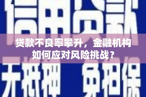 官渡贷款不良率攀升，金融机构如何应对风险挑战？